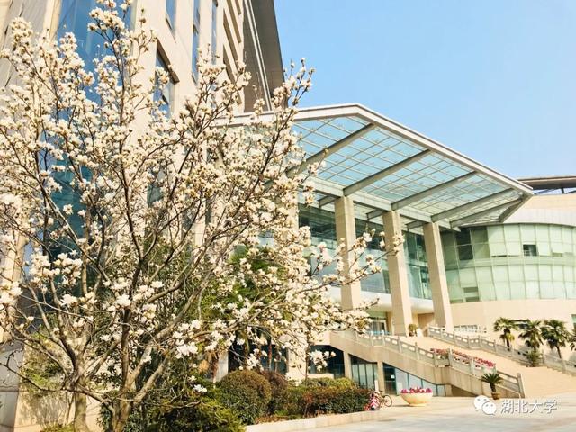 国产亚洲精品久久久久久久_无码AV免费精品一区二区三区_99久久久无码国产精品免费人妻_精品人妻无码一区二区三区在线_无码专区久久综合久综合字幕_久久精品国产一区二区三区四区_真实一级一级一片免费视频_特级精品毛片免费观看_国产成人无码AA片免费看校长谢红星在学生班会上的特别寄语：热爱生活，珍爱生命